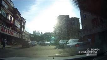 夕阳下的国产车视频大全,视频大全赏析